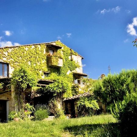 Podere Patrignone Pension Castellina in Chianti Buitenkant foto
