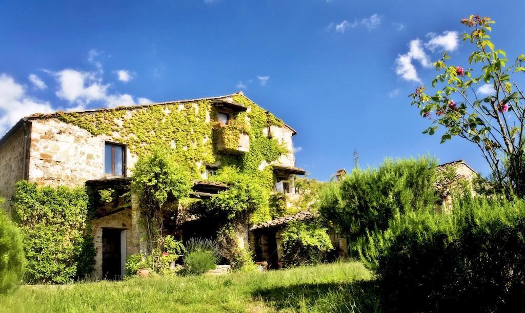 Podere Patrignone Pension Castellina in Chianti Buitenkant foto